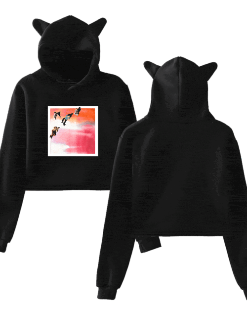 5SOS Cropped Hoodie #11
