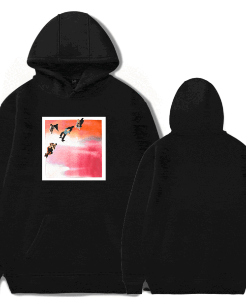 5SOS Hoodie #11