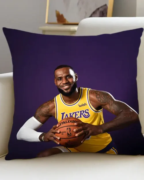LeBron James Pillow #1